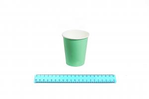 Стакан бумажный ГН  250/290 мл.  мятный (50шт/1000) 9987/510-uds