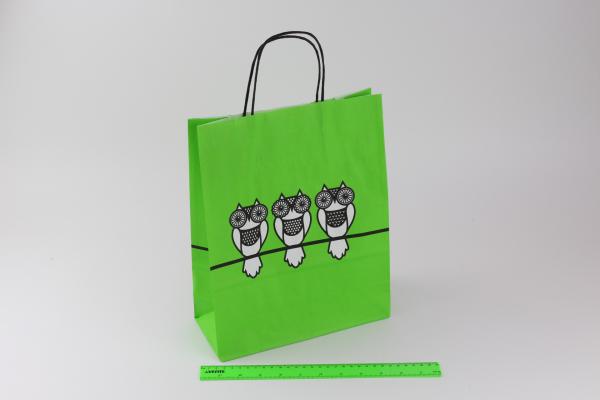 Пакет бумажный ЗЕЛЁНЫЙ с кручеными чёрными ручками Совы 320*250*100.755М55/Sov