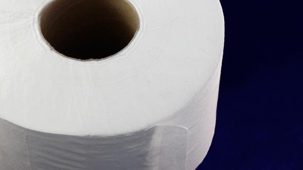 Бумага туалетная в рулоне,1-сл., белая, 200м,ш 95мм, Veiro Professional(12рул/уп).2648/8-Pm